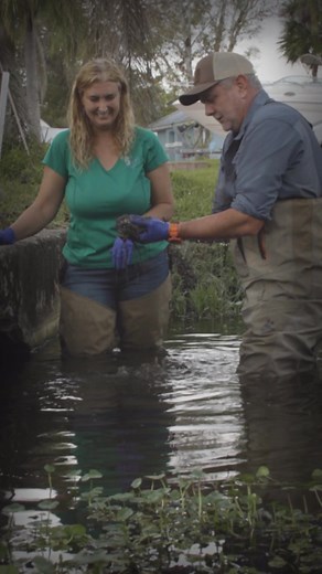 It’s here, Florida! The second episode of Protect Our Paradise is all about Florida’s water! 💧We’re a water state and facing challenges like never before. This episode takes a deep dive (literally) into Florida’s precious waters and explores how we’re using water, losing water, and how we can save it for generations of Floridians to come. Visit the Conservation Florida website to find out how YOU can get involved today! 💧 #ProtectOurParadise brought to you by Conservation Florida & Crawford En