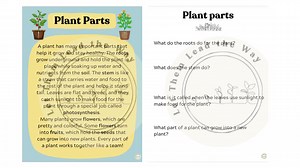 Plants: Life Cycle, Parts, Needs, Pollination | Worksheets | Literacy Centers | Science Activities | Differentiated | Vocabulary - Etsy