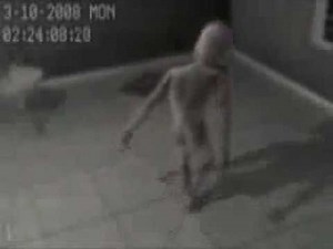 Alien Capturado vivo interrogado por militares