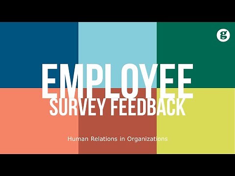 Employee Survey Feedback