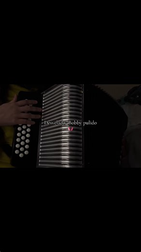 Learning Accordion in Month 3: My Progress Journey