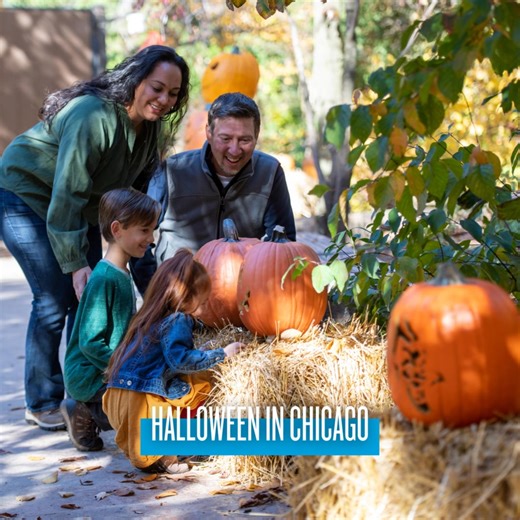 From a dazzling nighttime parade to an annual Día de los Muertos exhibit, Halloween in Chicago has something for everyone.🎃 | Choose Chicago