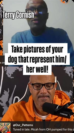 How to Showcase Your Dog Like a Pro. Guest @vom_himmel_rottweilers | European Doberman Stud | Facebook