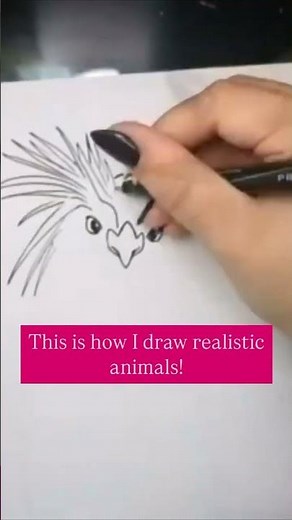 This is how I draw realistic animals!