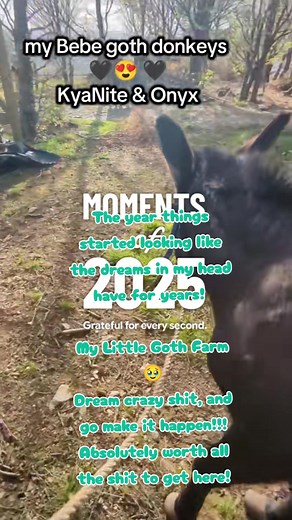 Reflections on My Goth Farm Life in 2025