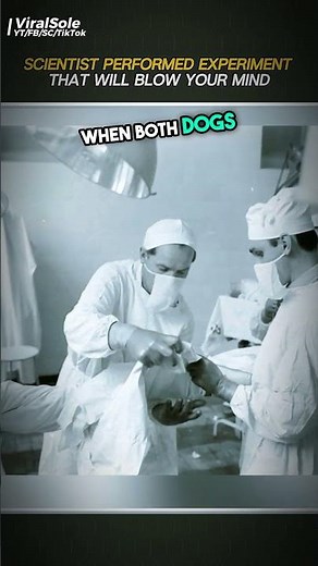 Soviet Scientist Made TWO-HEADED DOG! 😱The Shocking Experiment That Changed Medicine Forever #shorts