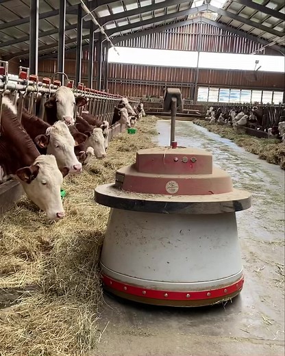 UN ROBOT REPOUSSE-FOURRAGE... à la Ferme Les Montagnards GAEC à Combloux (Haute Savoie-France). De la main d'œuvre en moins et des vaches qui peuvent manger 24 heures sur 24. Vidéo : Philippe Deparis. #ferme #technologie #progres | La Place du Village