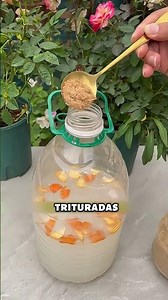 🪴 How to turn kitchen scraps into homemade fertilizer