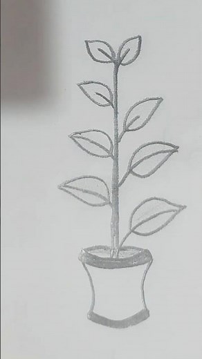Easy Plant Drawing Tutorial | Simple Leaf Sketch for Beginners
