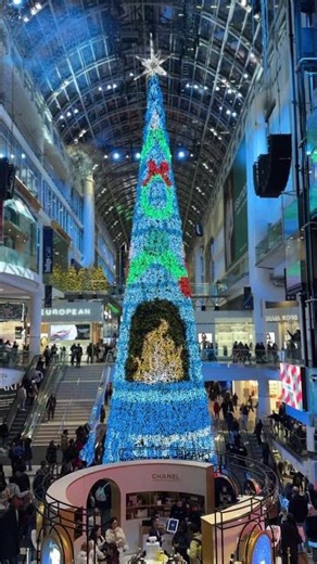 ✨ My Holiday Must-See: North America’s Tallest Indoor Tree! 🎄
