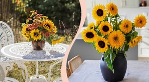 Solrosor på 5 vis – så skapar du arrangemang med den vackra blomman