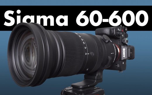 适马60-600mm DG DN镜头评测 超级打鸟变焦！_哔哩哔哩_bilibili