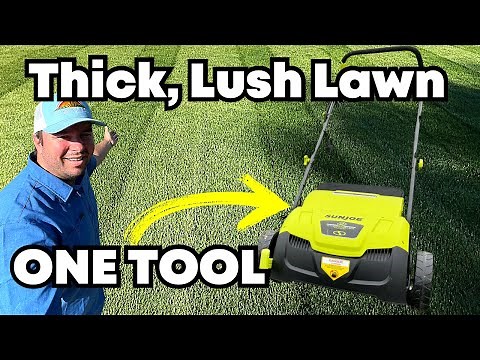 For A THICK & LUSH Lawn, DO THIS! Featuring Sun Joe Scarifier & Dethatcher AJ801E