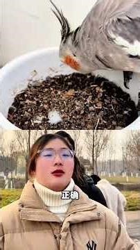 Revolutionizing Rural Farming: The New Farmer Program with Parrot Tech