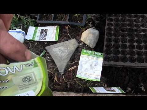Amazing Mycorrhizal Fungi for growing Vegetables!