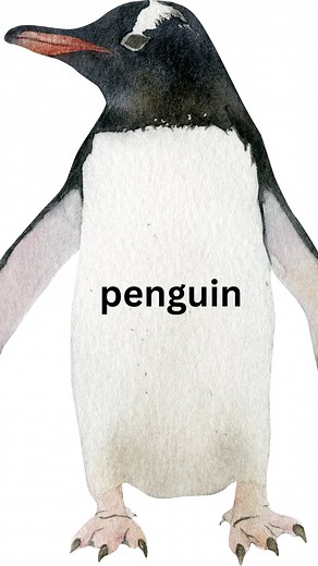 #penguins #penguin #Welsh #linguistics #language #etymology | Linguistic Discovery