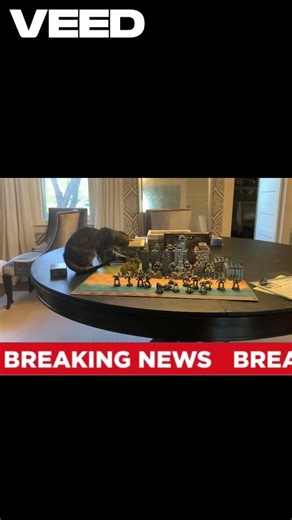 CARNAGE (Giant Cat Destroys City!!) #cat #destruction #foryou #subscribe #chaos #doometernal