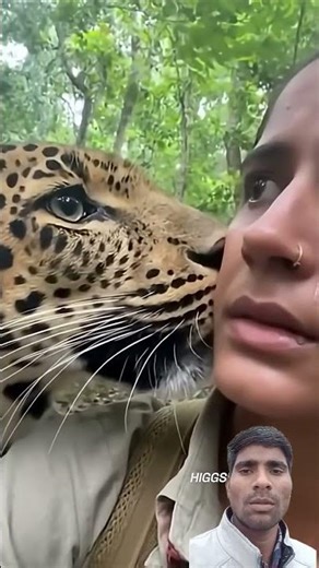 तेंदुआ से आमना सामना लड़की की शांत प्रक्रिया ने दर्शकों को चौंका दिया #shivatandava #yatraonline