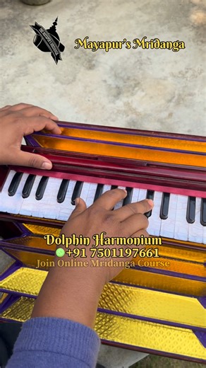 Bimala Chaitanya Das on Instagram: "Premium Quality Dolphin Harmonium 🎹 Now Available! Crafted for quality, tuned for perfection. Experience exceptional sound and superior craftsmanship in every beat. 📦 Shipping to Goa 🚛 📞 Order now: +91 75011 97661 Don’t miss out on this divine rhythm – grab your Harmonium today!"