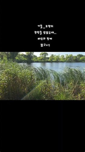 가을 찾았다!! 바람덕분에 #가을 #매미소리 #힐링영상 #세인오향희 #시의서랍