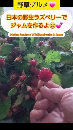 【Shorts動画】日本の【野生ラズベリー】でジャムを作る★【Making Jam with Japanese Wild Raspberries】 #Shorts #野イチゴジャム #食べられる野草