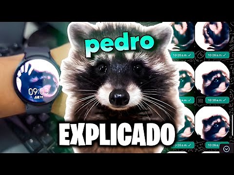 PEDRO PEDRO PEDRO - WHERE DID THE MEME COME FROM? (english subtitles)
