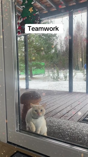 Teamwork: The Key to Success in Community Building