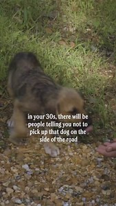 Always pick up the dog 🐶 | Donut Media