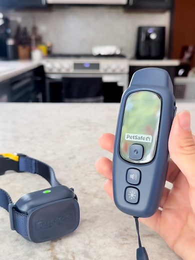PetSafe Core Dog Trainer: Effective Dog Training Solution