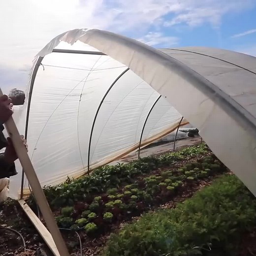 Helping out a local farm... #reels #fyp #farm #farmlife #greenhouse #project #building | Sow the Land