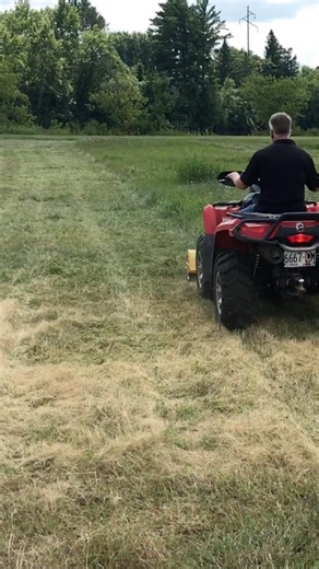 Field Mowing with the Rammy Flailmower #ATV #UTV #Machinery #Land #Equipment