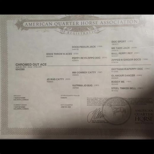 Linda Powell (@lindapowell507)’s videos with Life Is Good - Kenny Chesney