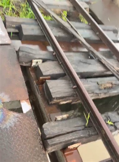 Exploring Situbondo: A Local's Perspective