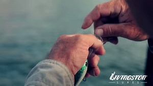 Learn more about Livingston Lures’ hardbaits that include a circuit board and other technology to mimic bait sounds, even with the lure is not in motion. #bass #bassmaster #livingstonlures #bassfishing #fishinggear | Bassmaster