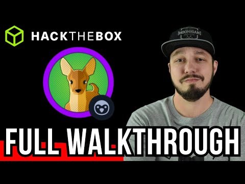 HackTheBox Starting Point: Fawn - Walkthrough (for beginners)