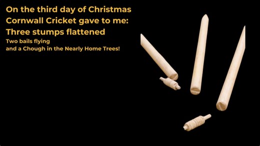 On the third day of Christmas | Cornwall Cricket | Facebook