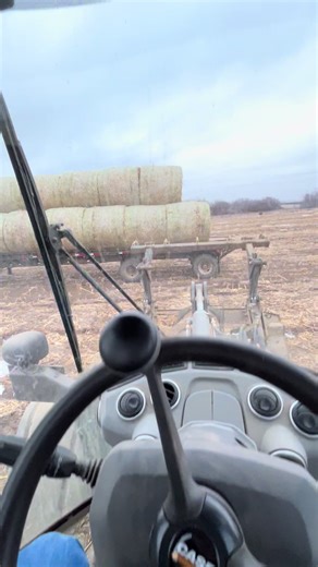 Hopkins prairie ranch (@hopkinsprairieranch)’s videos with Anchor - 49 Winchester