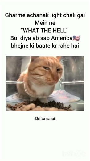 Areee...#viral #funny #catcomedy #cat #school #memes #trending #yoytubeshorts #shorts