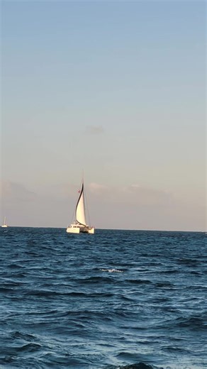 Breathe a little #experiences #stingrays #drafts