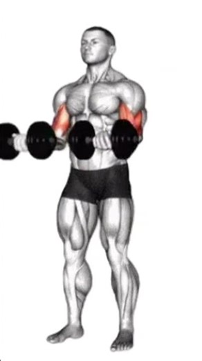 ⭐ Ultimate Biceps Workout | Build Bigger Arms Fast! 💪🔥