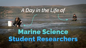 VIDEO: A Day in the Life of Marine Science Student Researchers
