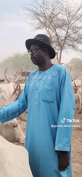 Genius mind media (@genius.mind.media)’s videos with original sound - Genius mind media