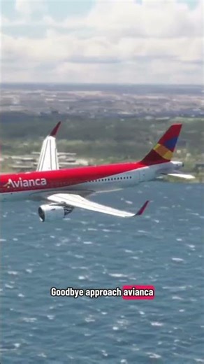 The Most Satisfying Landing Approach Ever