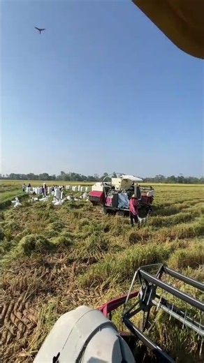 MAXXI || #maxxibimoterbaru #combineharvester #maxxibimo102standar #automobile #combinepadi #farming
