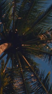 Whether you’re whisking away to fun-filled festivities, or settling into your staycation, these films bring the sun & sand. What are your fave travel movies? | Amazon Fire TV