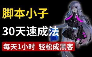 手把手教你成为脚本小子/网络安全精品VIP内容（web安全/XSS/脚本注入/sql注入/）