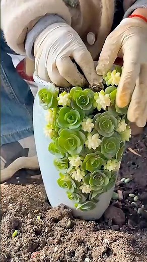 From Broken to Beautiful: Succulent Planting Hacks #diy #upcycling