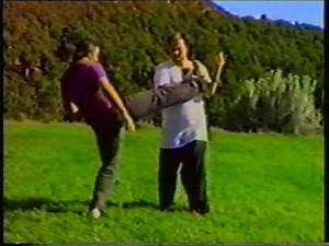 Yang Style Fighting Applications