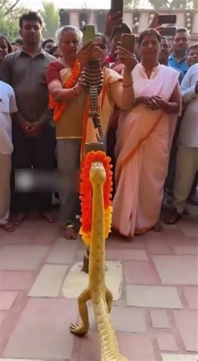 Jai naag devta ❤️🔱#shorts