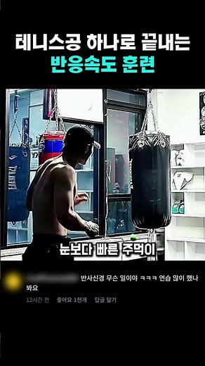 눈보다 빠른 주먹 테니스공 하나로 끝내는 반응속도 훈련